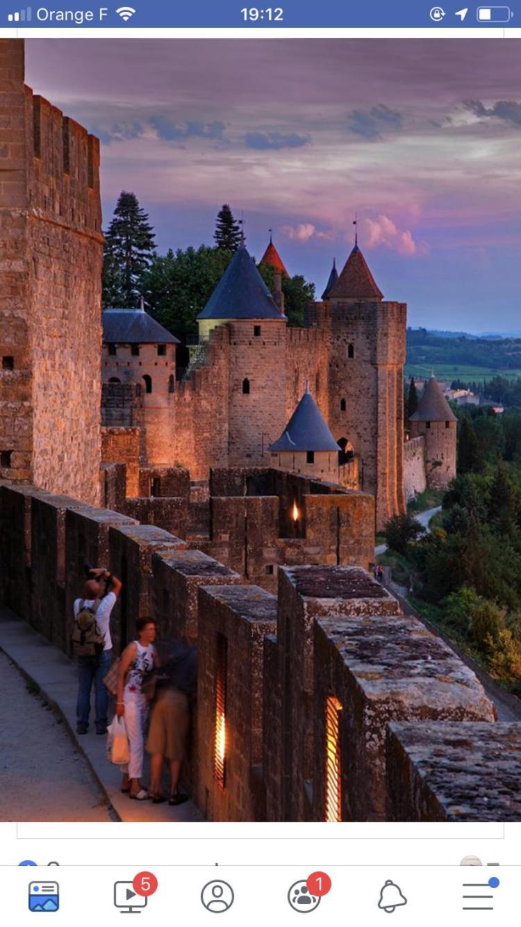L'Orée de la cité Carcassonne Esterno foto