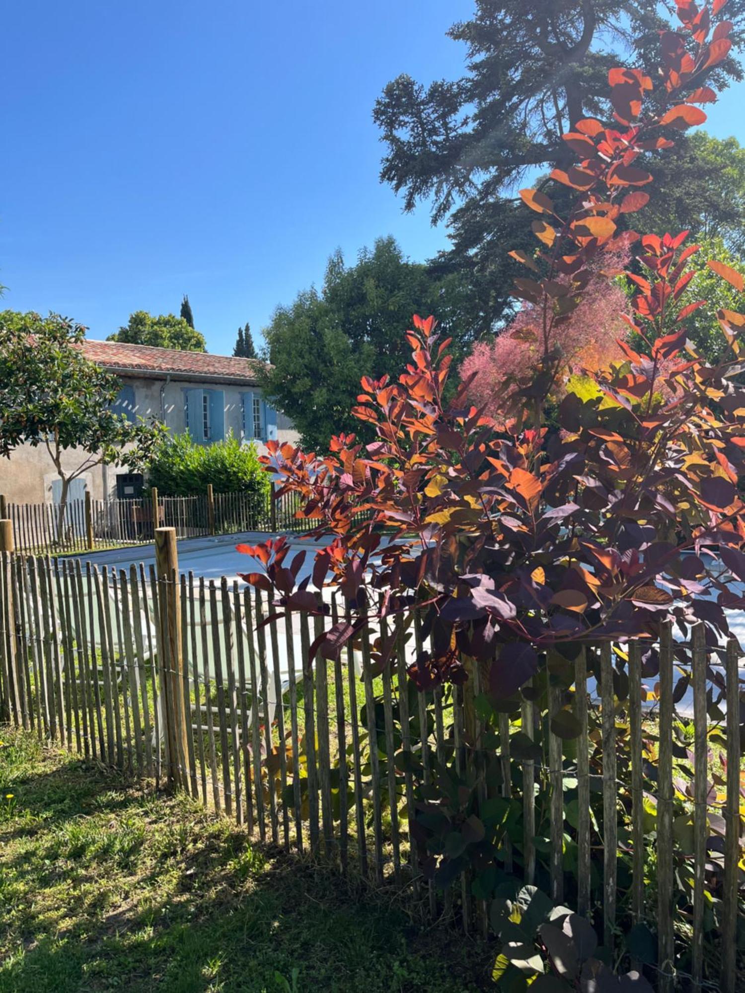 L'Orée de la cité Carcassonne Esterno foto